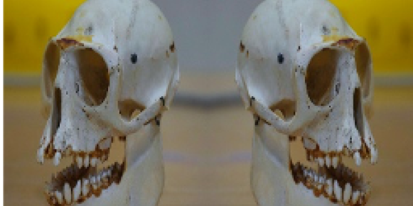 by Gautam Birendra ,Mumbai (Palladium)