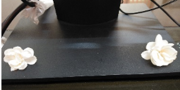 by Pratidnya Sansare