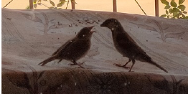 by Arun Sharma ,GBS Belapur