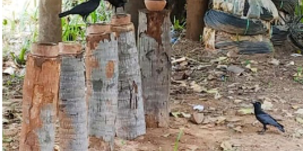 by Santhosh chappa ,Dolvi