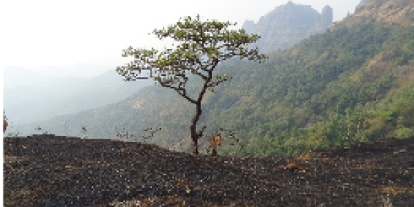 by Vishesh Thakore ,Vasind