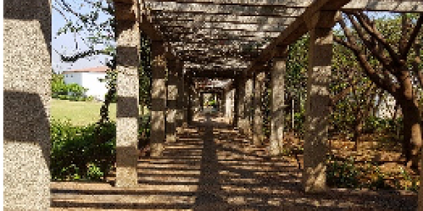 by Jasbir Singh ,Vijaynagar