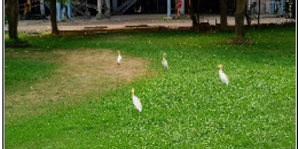 by Chinmay Thakur ,Jaigad