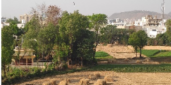 by Hitesh Kothari  ,Barmer