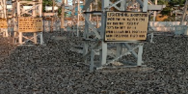 by Sanjana Ghorpade ,Kalmeshwar