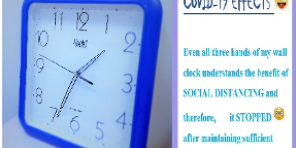 by Tejasvi Arora ,Sholtu