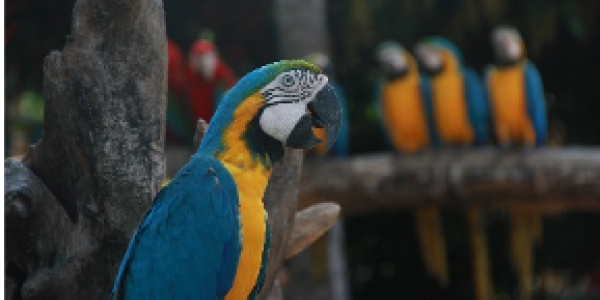 by Omkar Bhalekar ,Vasind