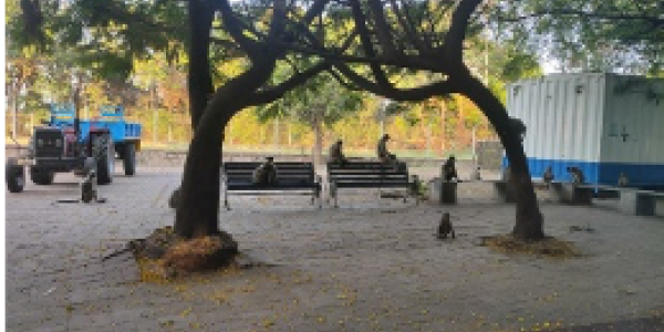 by Siddu Kenchareddy