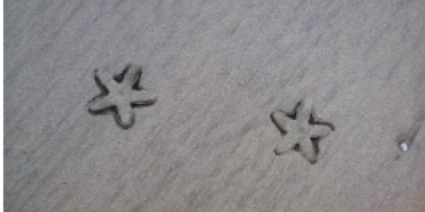 by Sudhir Tailong ,Jaigad