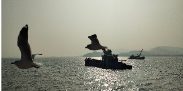 by Shubham Kumar  ,Dolvi