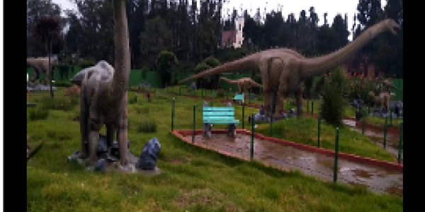 by Safeer Shoukat Dawe