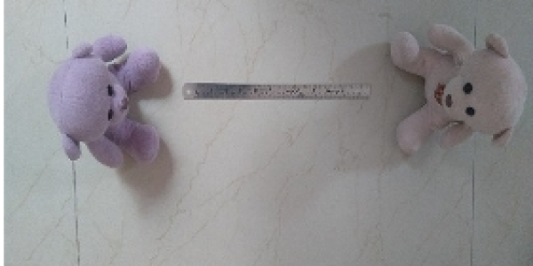 by Dhanesh Elango ,Chennai