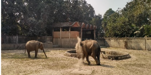 by Gaurav Jog ,Jaigad