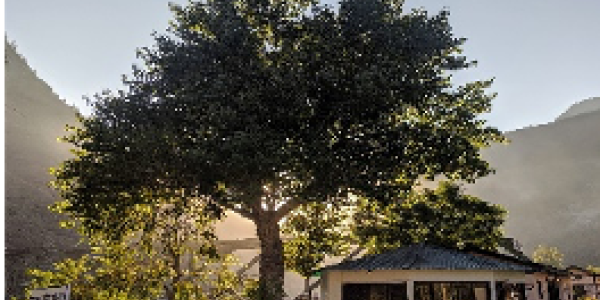 by Ritesh Parshad  ,Sholtu