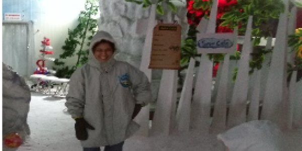 by Oscar Palanna ,Vijaynagar