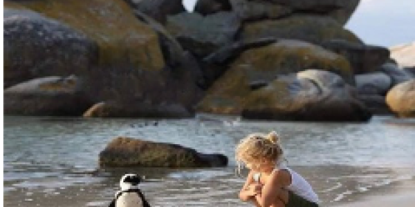 by Chandan Malakar ,Vijaynagar