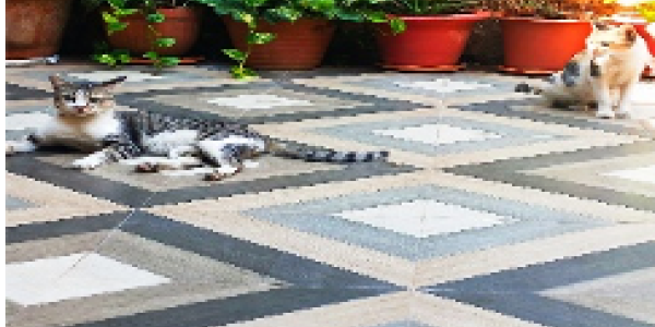 by MOSES B SHILABHADRA ,Pune