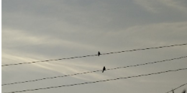 by Laveena Hadkar ,Mumbai (BKC)