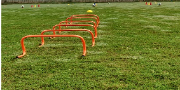 by Dharmesh Gohel  ,Tarapur