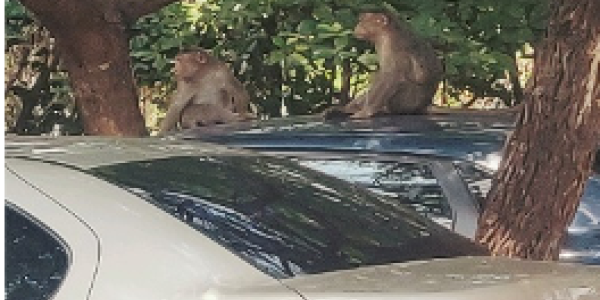 by Saikiran Vaddapalli