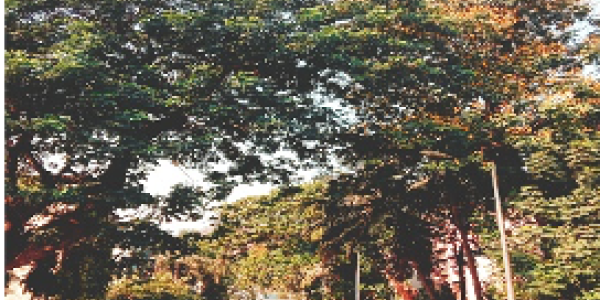 by Mihir Semwal ,GBS Belapur