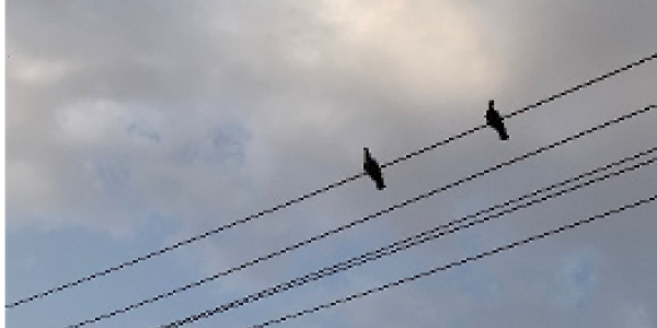 by Ayush Joshi ,Jaipur