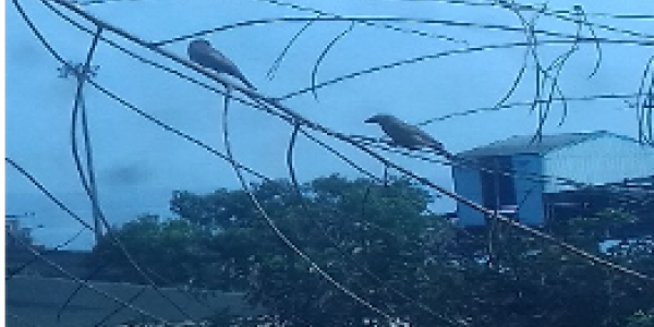 by Jayant Chunekar ,Jaigad