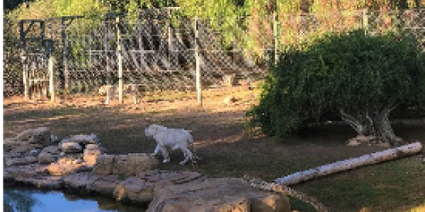 by Deeksha Agarwal ,Vasind