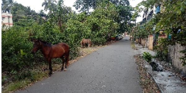 by Yogesh Kumar Dwivedi