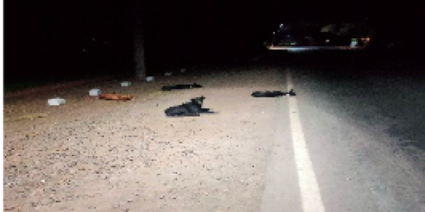 by Ravindra Kende ,Dolvi