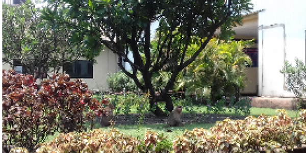 by Shashikanta Padhiary ,Vijaynagar