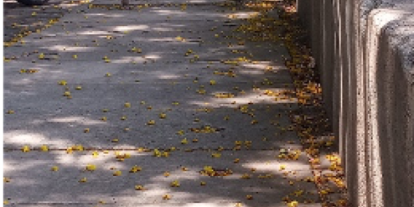 by Durgadas B Naik   ,Vijaynagar