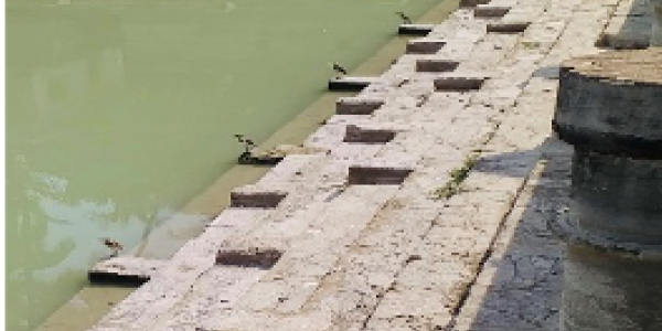 by Pritij Hale ,Salav