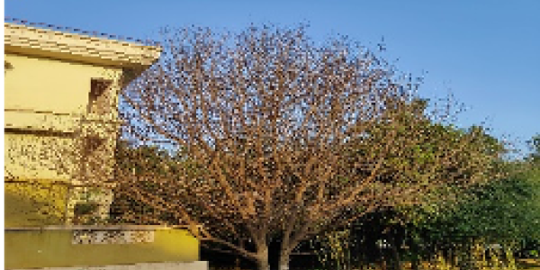 by M.Jithendra ,Vijaynagar