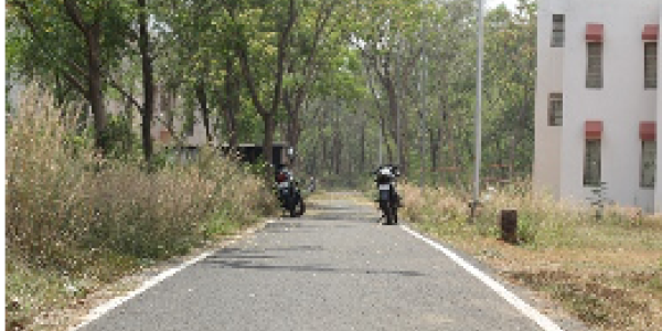 by Jayashree Kar  ,Salboni