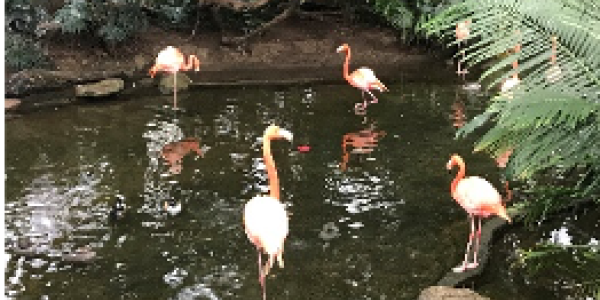 by Whitney Komaniak ,Ohio USA