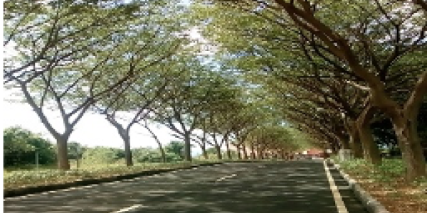 by Darshana Rahate ,Jaigad