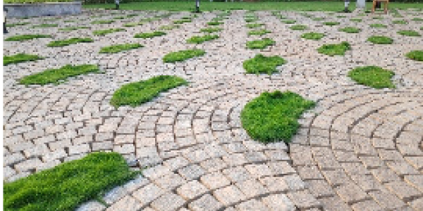 by Anand Gautam  ,Vijaynagar