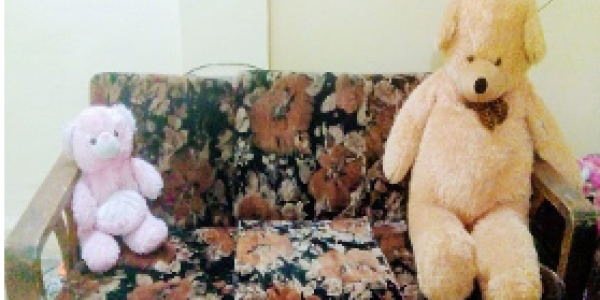 by Kanika Garg ,Dolvi