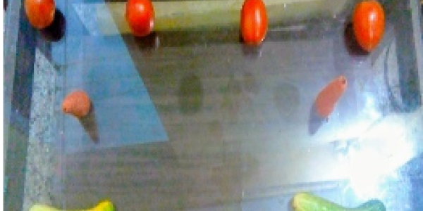 by Kanika Garg ,Dolvi