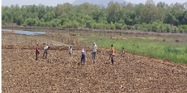 by Jitendra Kharsambale ,Dolvi