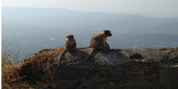 by Vijay Eknath Mane ,Dolvi