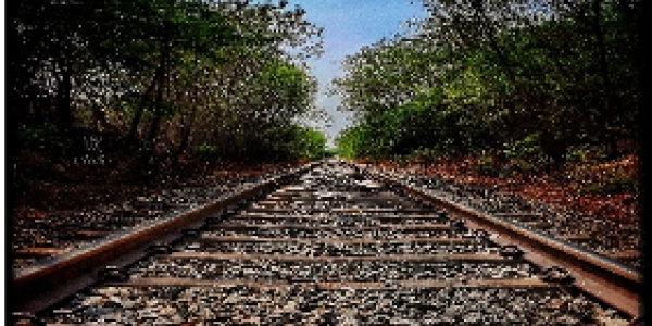 by Vighnesh Revankar ,Vijaynagar