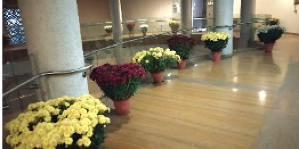 by Santosh B. Nazare ,Vijaynagar