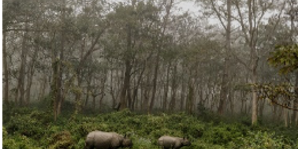 by Vaibhav Mehta ,Odisha
