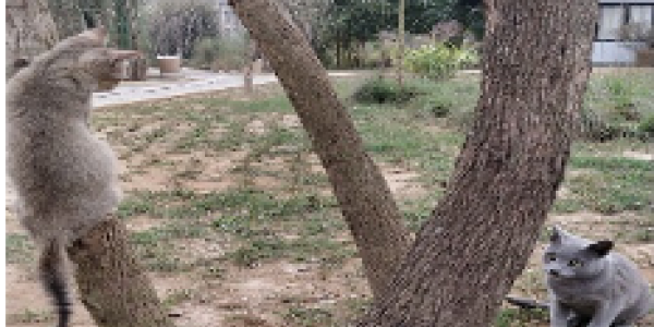 by Vaibhav Mehta ,Odisha