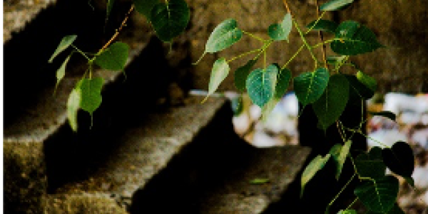 by Himanshu Katariya