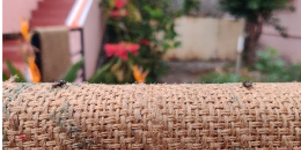 by Vijay Packiyadass