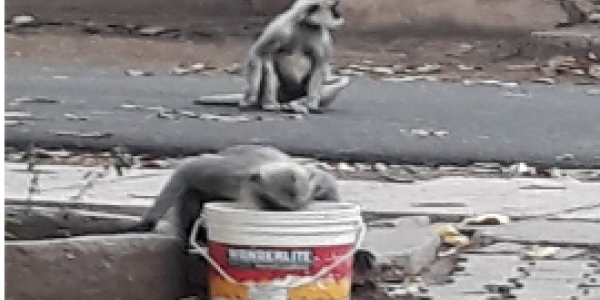 by Kotresh Sakragoudar