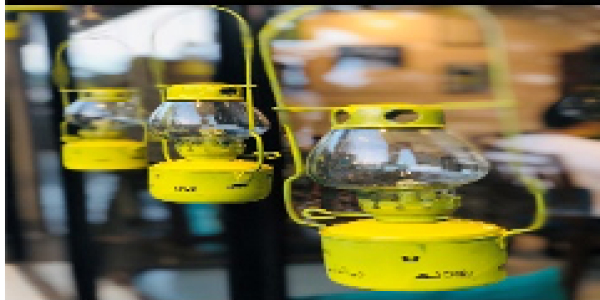 by Gaurav Gupta ,Delhi